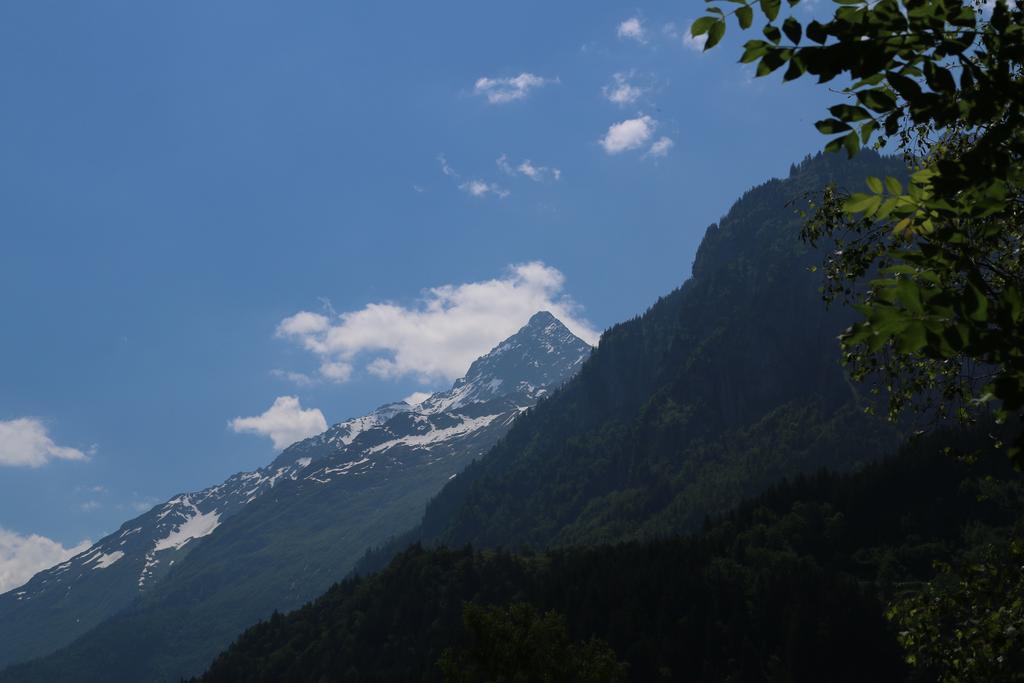 Mountain Lodge Urweider Innertkirchen Quarto foto